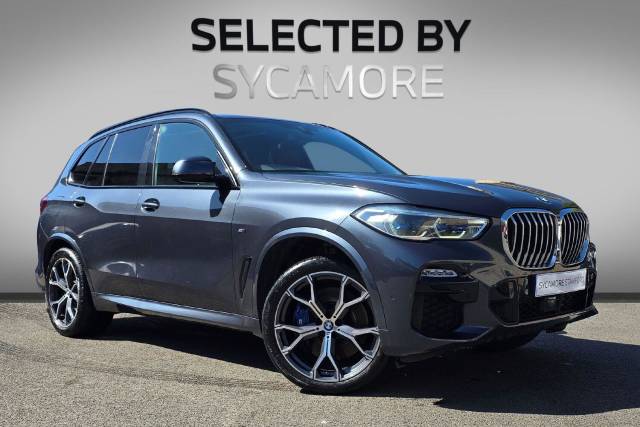 BMW X5 3.0 30d M Sport Auto xDrive Euro 6 (s/s) 5dr SUV Diesel Arctic Grey