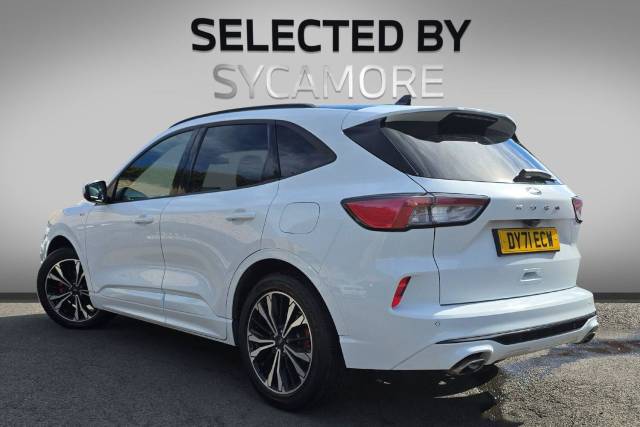 2021 Ford Kuga 1.5 EcoBlue ST-Line X Edition Auto Euro 6 (s/s) 5dr